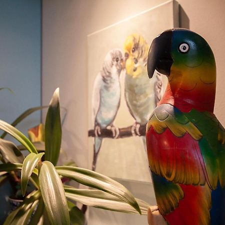 Apartament U Olechny 5 Bydgoszcz Buitenkant foto