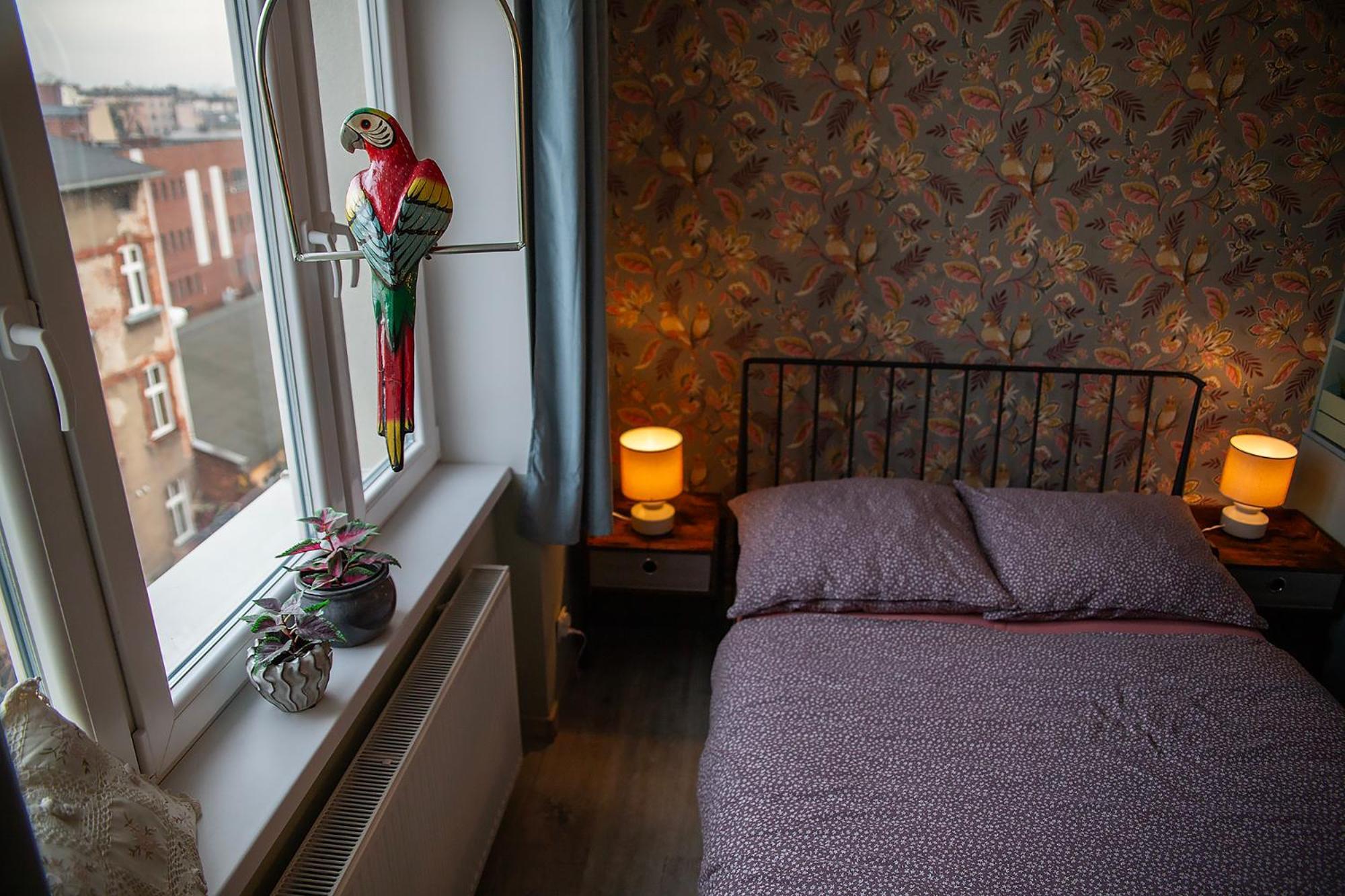 Apartament U Olechny 5 Bydgoszcz Buitenkant foto