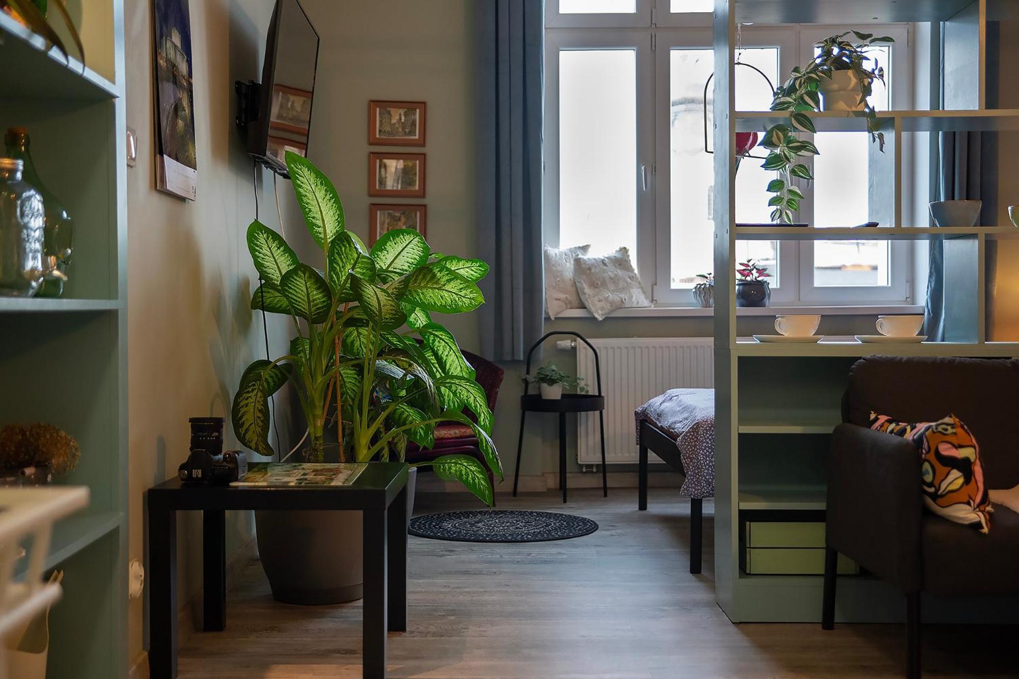 Apartament U Olechny 5 Bydgoszcz Buitenkant foto